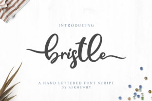 Bristle Font: A Script Amp Typeface That Brings Handmade Charm to Life