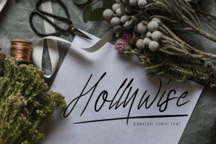 Hollywise Font: A Beautiful Script for a Polished Brand