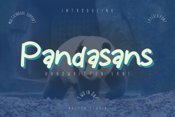 Pandasans: A Handwritten Sans Font That Elevates Campaign Design