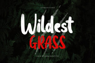 Wildest Grass Font: A Playful Script for Modern Branding Projects